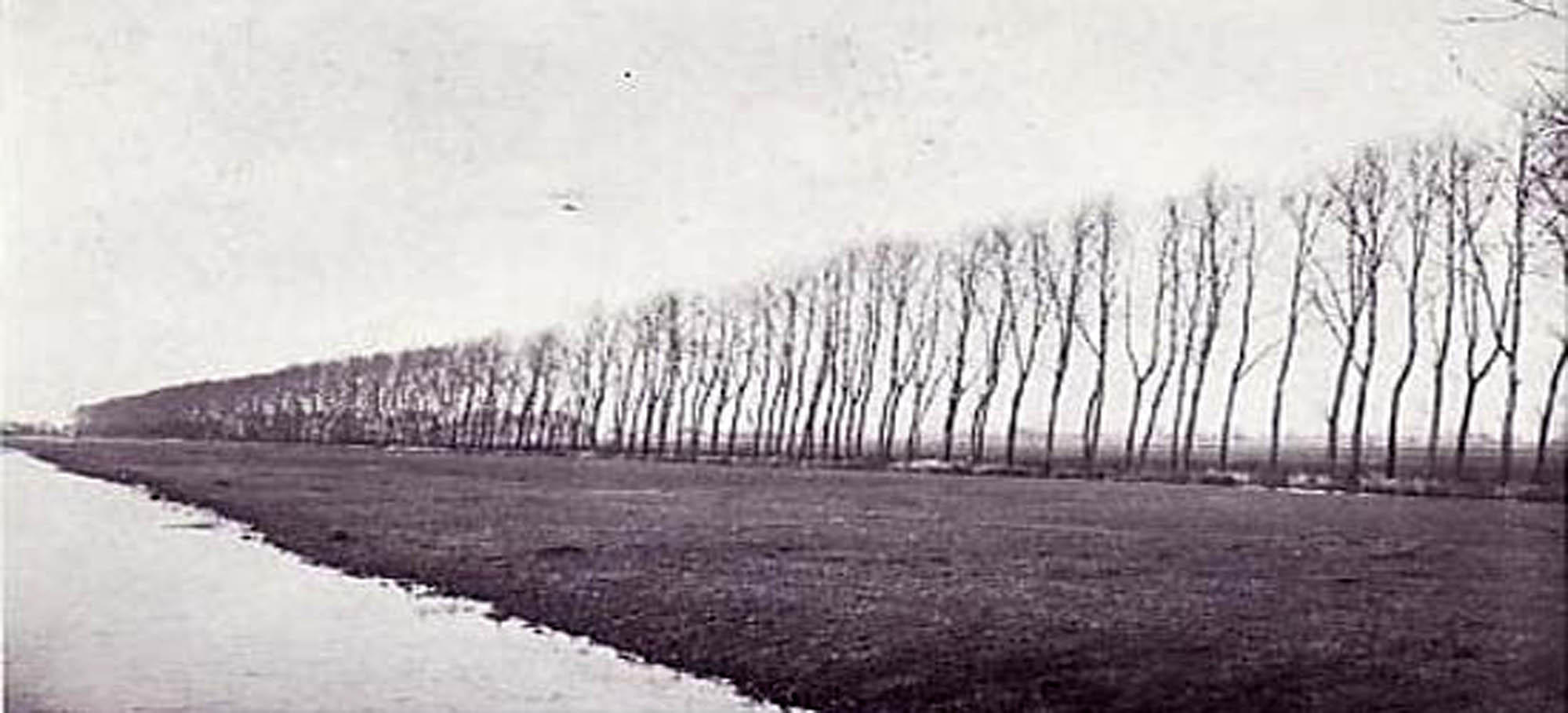 De korflaan vrijerslaantje heerenveen