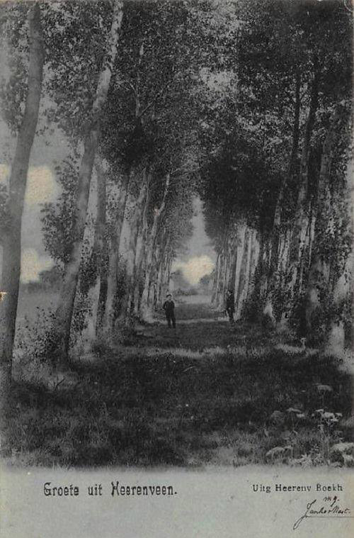 vrijerslaantje korflaan le roy tuin heerenveen