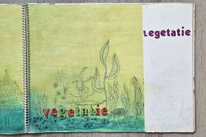 Tekenboek Geeske Winia Tekenboek Geeske Winia