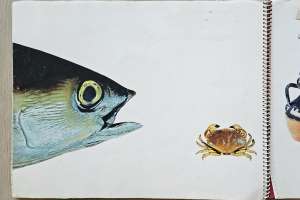 Tekenboek Geeske Winia Tekenboek Geeske Winia