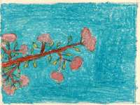 Tekenles Louis Le Roy Tekenles Louis Le Roy