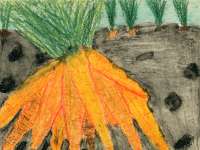 Tekenles Louis Le Roy Tekenles Louis Le Roy