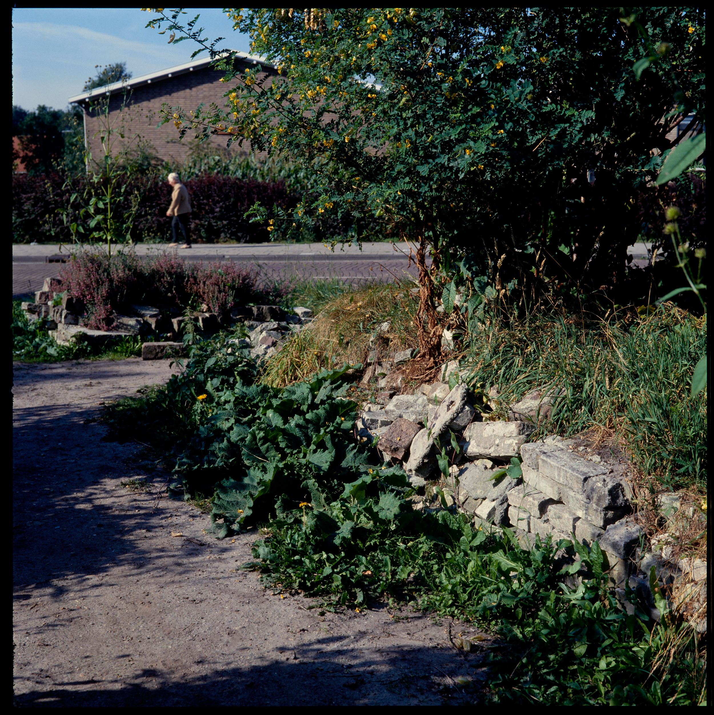De Kennedylaantuin in de jaren 70. Foto: Louis Le Roy
