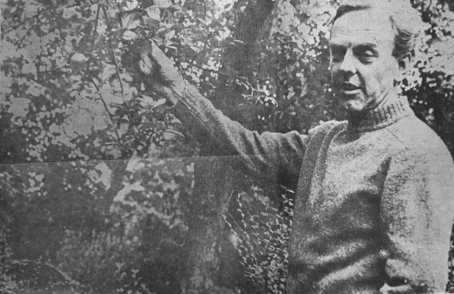 Interview met Louis Le Roy in het Utrechts Nieuwsblad 1971