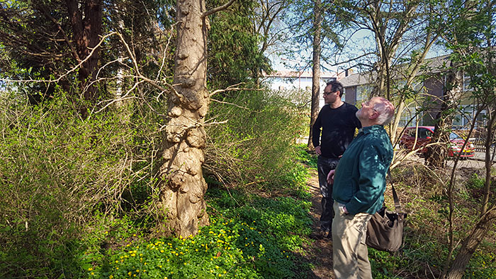 Wandeling door Le Roy tuin met Historie Heerenveen
