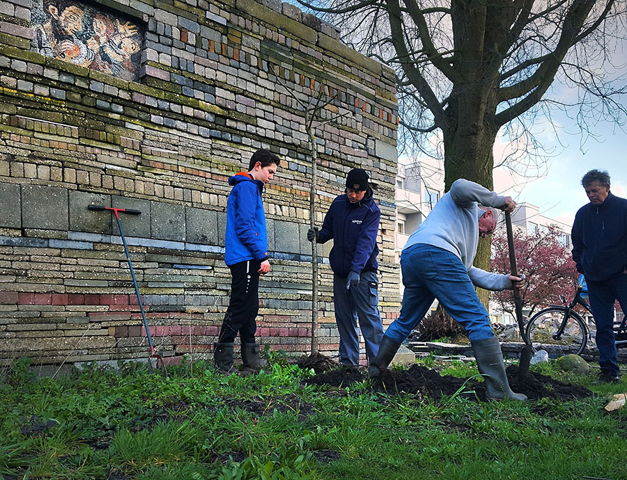 Doneer een boom aan de Le Roy tuin Heerenveen