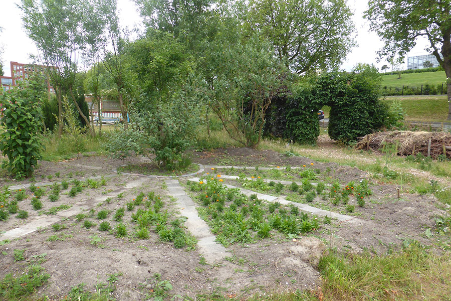 Proeftuin De Punt in rotterdam 2004 - 2015