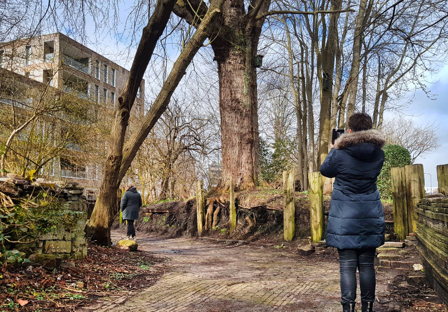 Balklandpark Harlingen le roy tuin heerenveen