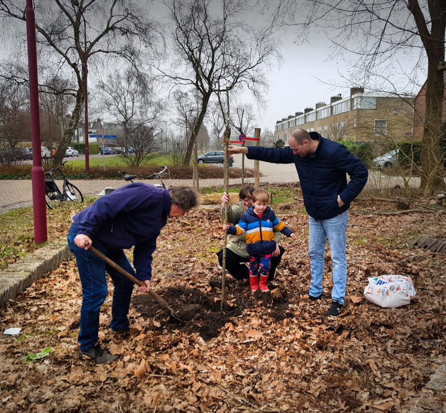 fruitboom le roy tuin willem