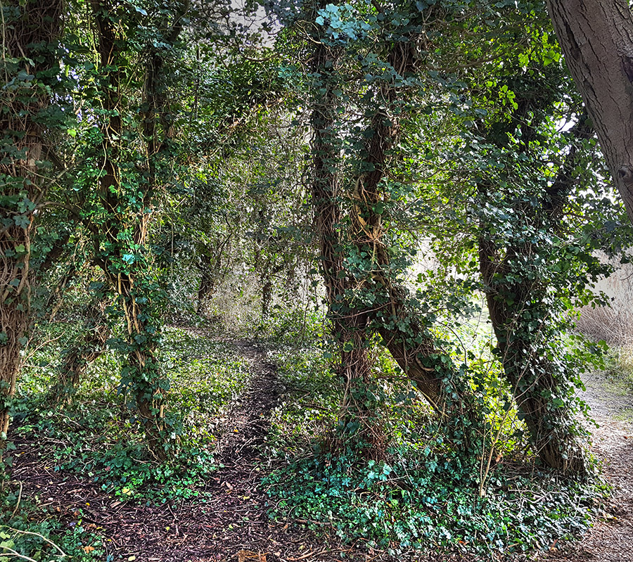 mileutuin de fok sneek mogelijke locatie ecokathedraal