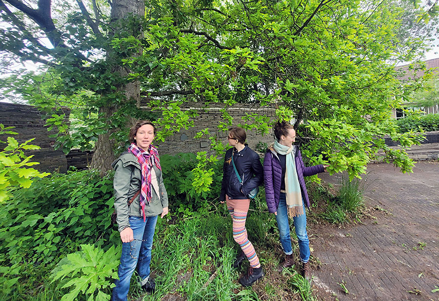 nldoet le roy tuin heerenveen rotterdam