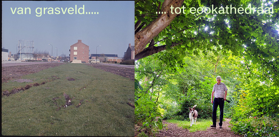 Le Roy tuin heerenveen midden lezing