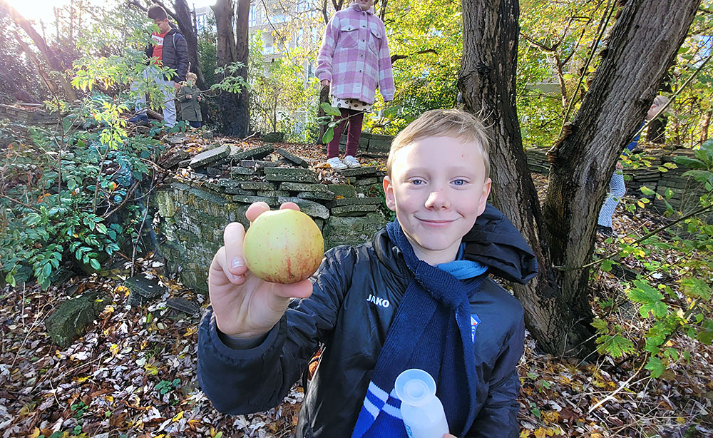 boomfeestdag 2022 le roy tuin appel