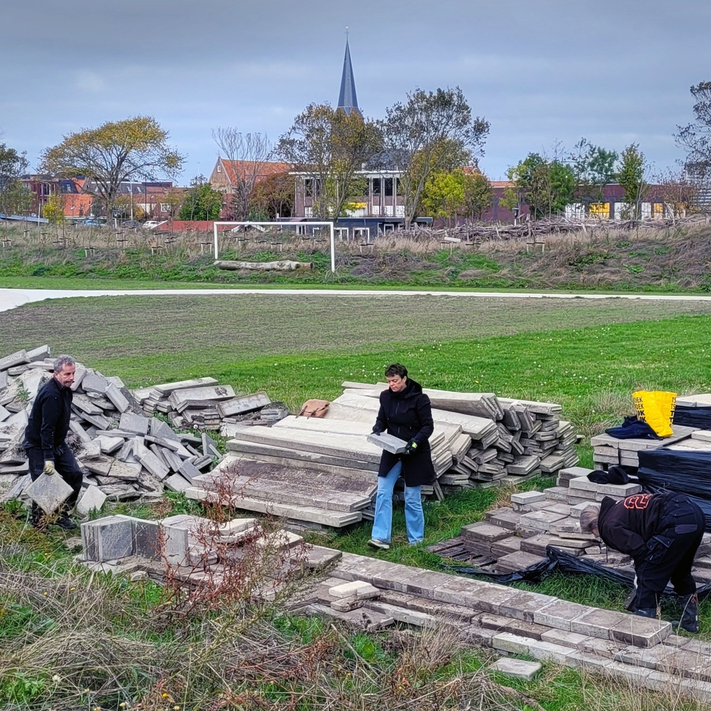 ecokathedraal balklandpark harlingen 