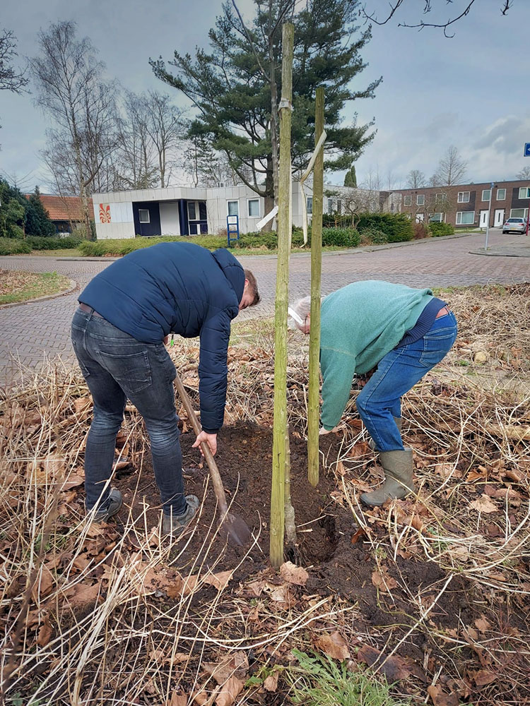 fruitbomen le roy tuin aeres fruit ynb fryslan 01
