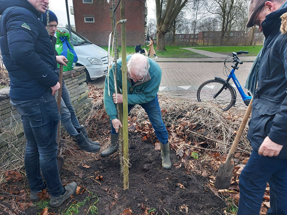 fruitbomen le roy tuin aeres fruit ynb fryslan 03