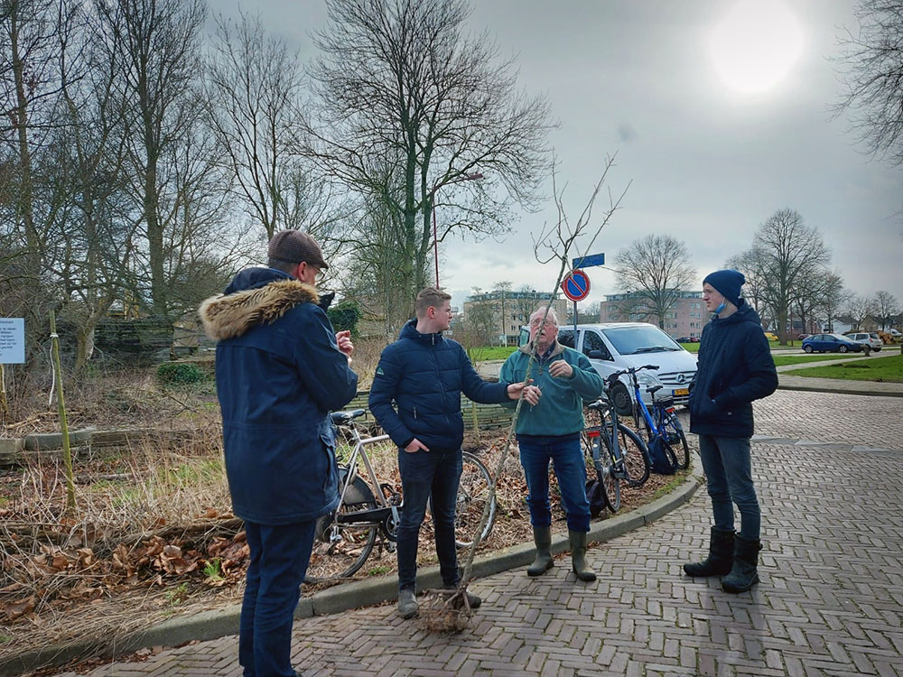 fruitbomen le roy tuin aeres fruit ynb fryslan 04