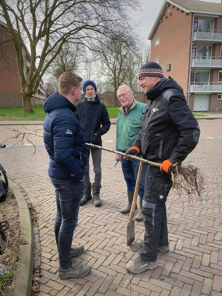 fruitbomen le roy tuin aeres fruit ynb fryslan 06