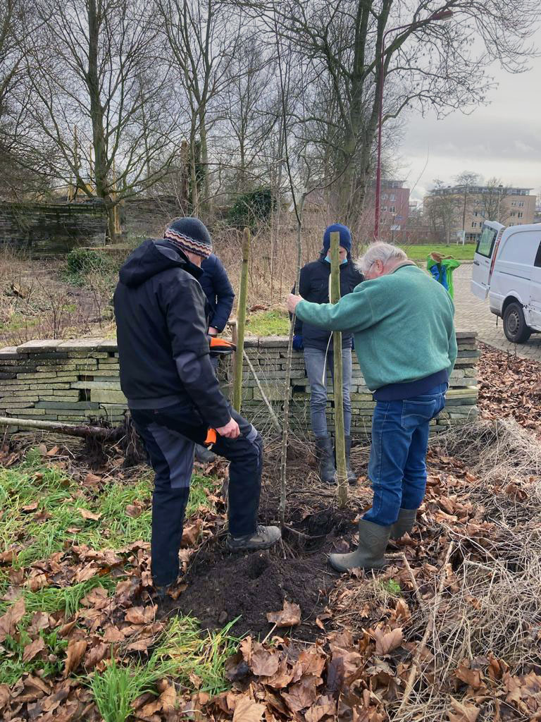 fruitbomen le roy tuin aeres fruit ynb fryslan 07