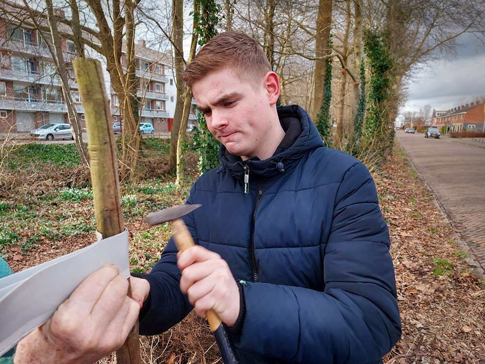 fruitbomen le roy tuin aeres fruit ynb fryslan 08