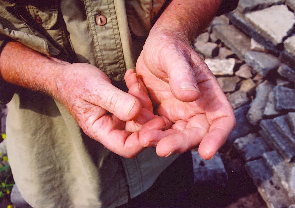 Handen van Louis Le Roy: I can change the world with my two hands