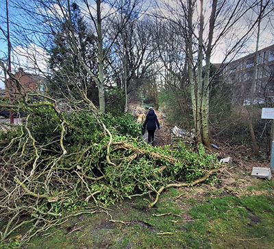 storm eunice le roy tuin heerenveen 2
