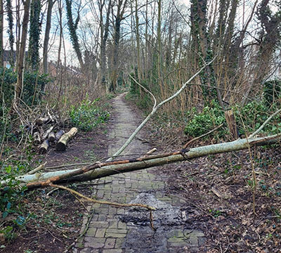 storm eunice le roy tuin heerenveen 4