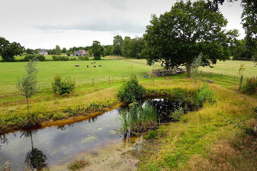 vijver in bouke boskje wijckel