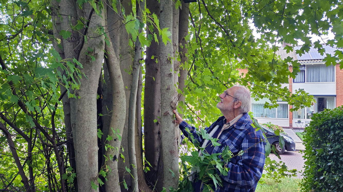 le roy lewenborg bezoek hans van der lans
