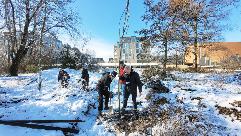 nldoet 2023 le roy tuin heerenveen esdoorn tiemen stuiver