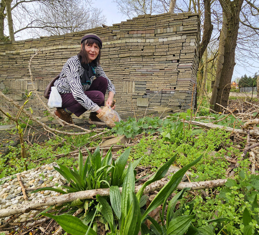 Ineke noordam zaait in le roy tuin