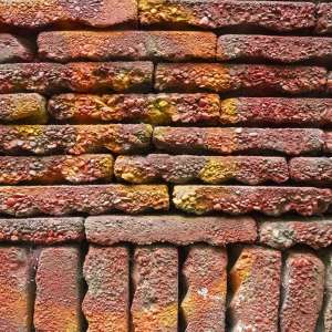 Le Roy-tuin Heerenveen Le Roy-tuin Heerenveen