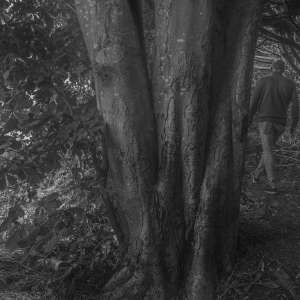 Le Roy-tuin Heerenveen Le Roy-tuin Heerenveen