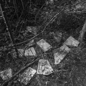 Le Roy-tuin Heerenveen Le Roy-tuin Heerenveen