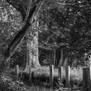 Le Roy-tuin Heerenveen Le Roy-tuin Heerenveen