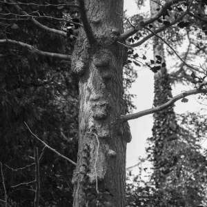 Le Roy-tuin Heerenveen Le Roy-tuin Heerenveen