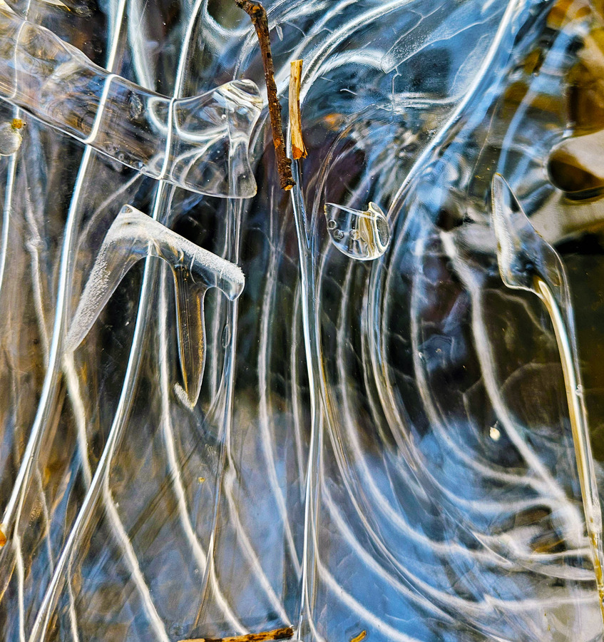 IJssculpturen in Le Roy tuin