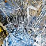 IJssculpturen in de Le Roy tuin IJssculpturen in de Le Roy tuin