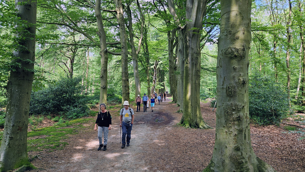 le roy wandelroute 2024 05 26 bos