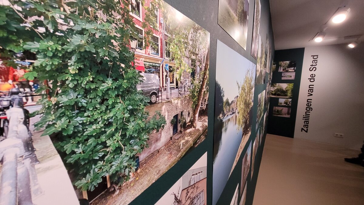 hans van lunteren tentoonsteling utrecht zaailingen