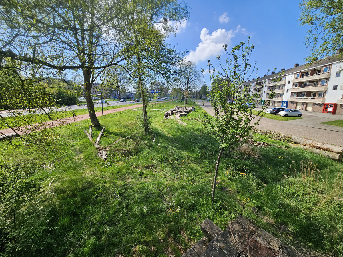 le roy tuin 3 zonder fietspad