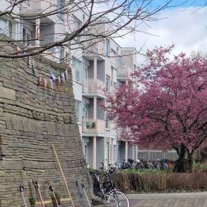 NL-Doet 2025 in de Le Roy-tuin NL-Doet 2025 in de Le Roy-tuin