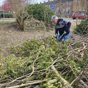 NL-Doet 2025 in de Le Roy-tuin NL-Doet 2025 in de Le Roy-tuin