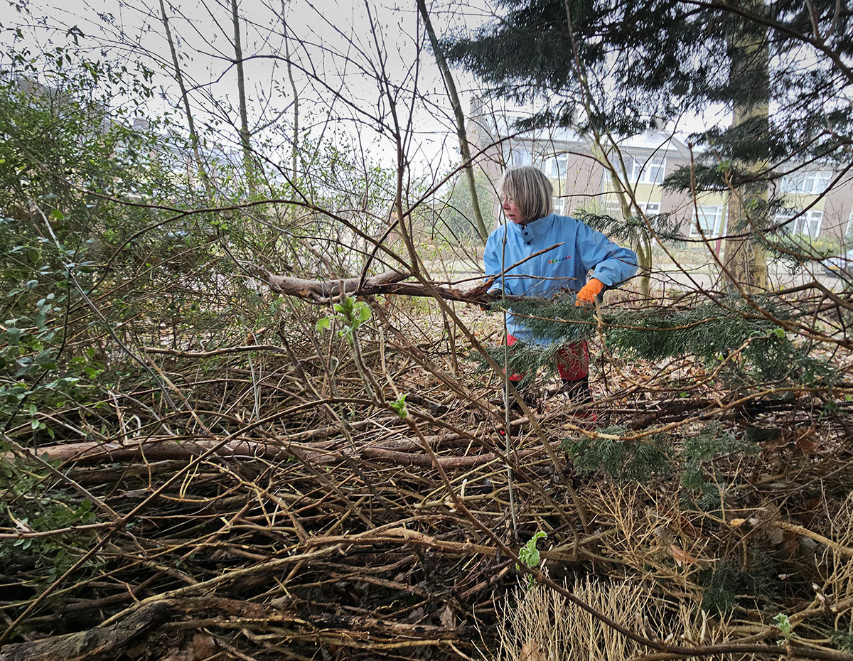 werkdag le roy tuin heerenveen midden elly spek