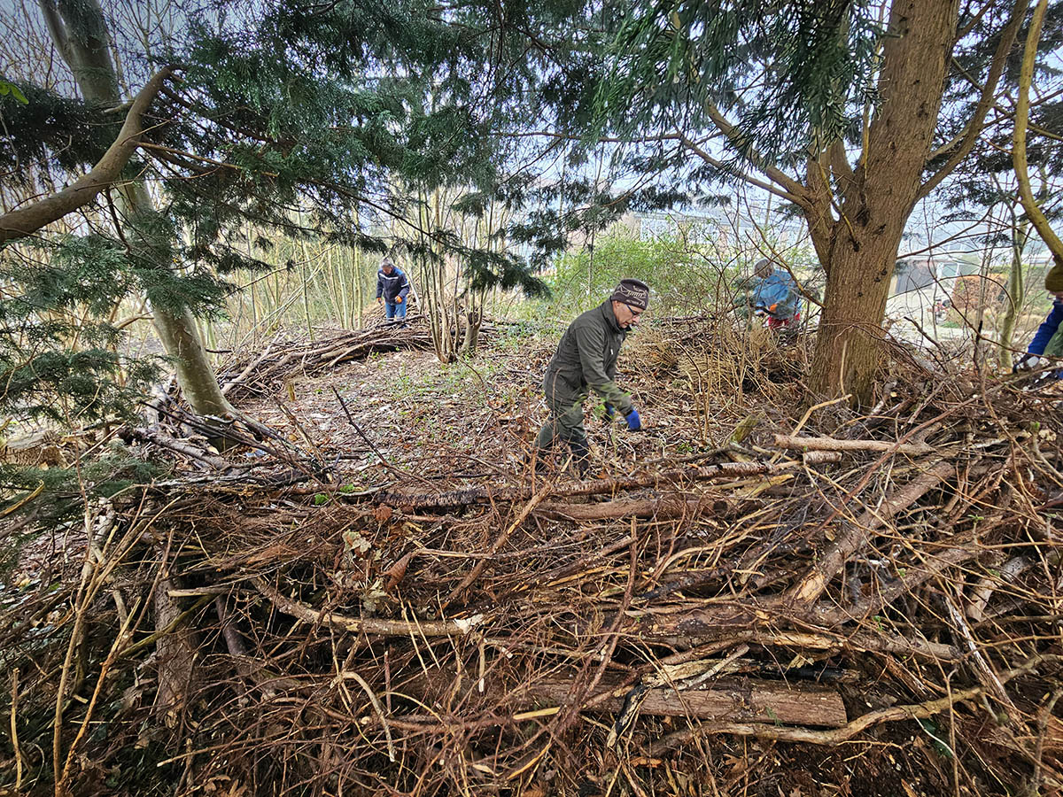 werkdag le roy tuin heerenveen midden pieter jansma