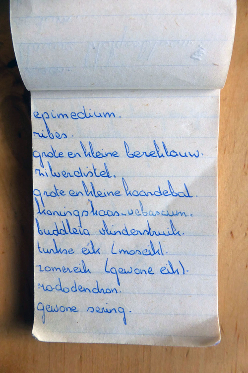 planten soorten le roy tuin ecokathedraal 06