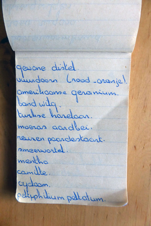 planten soorten le roy tuin ecokathedraal 08