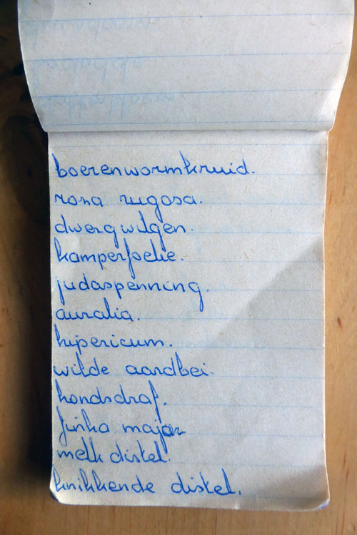 planten soorten le roy tuin ecokathedraal 09