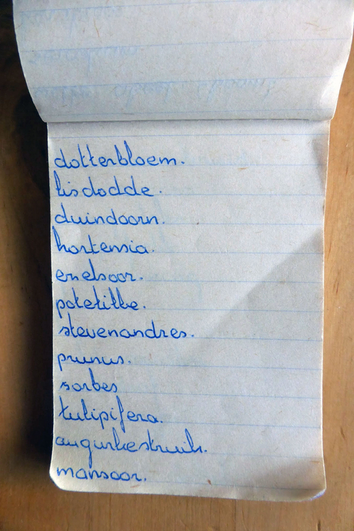 planten soorten le roy tuin ecokathedraal 10