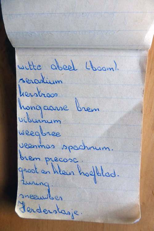 planten soorten le roy tuin ecokathedraal 11